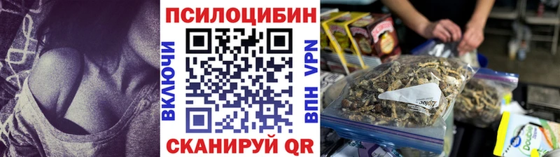 Галлюциногенные грибы MAGIC MUSHROOMS Болгар